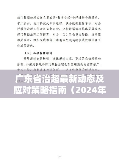 广东省治超最新动态及应对策略指南（2024年11月版）