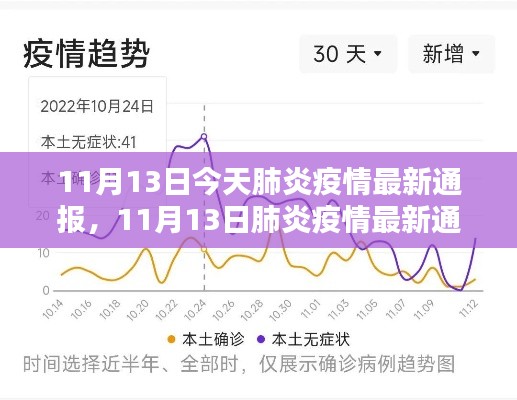 11月13日肺炎疫情最新通报，小巷深处的独特风味