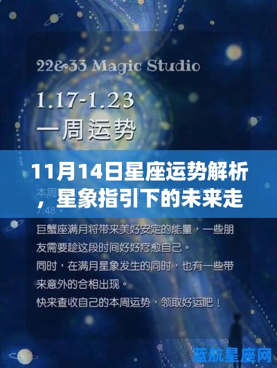 11月14日星座运势解析，星象指引下的未来走向