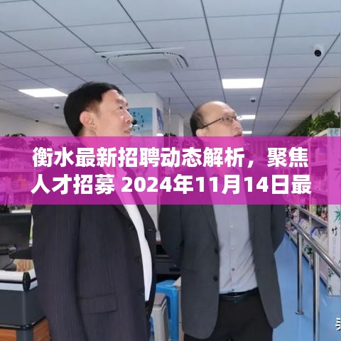 衡水最新招聘动态解析，聚焦人才招募 2024年11月14日最新招聘信息