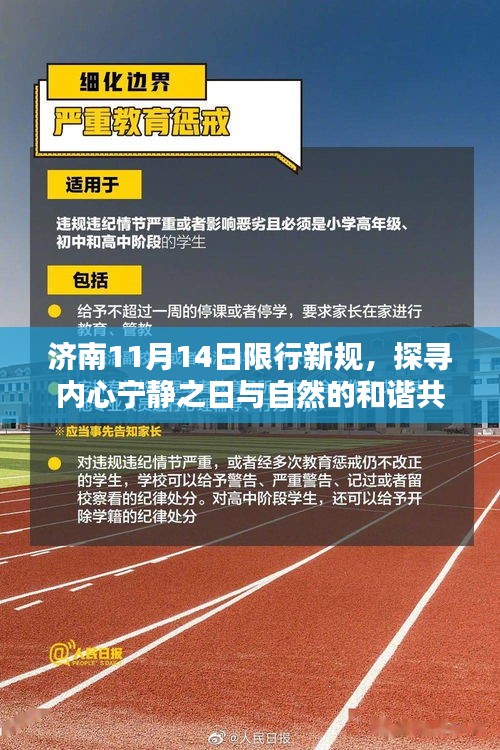 济南11月14日限行新规，探寻内心宁静之日与自然的和谐共舞