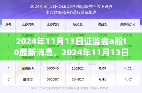 证监会A股T+0最新消息解读与应对策略指南（2024年11月13日版）