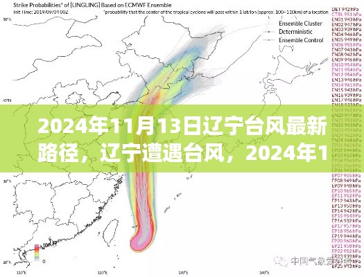 辽宁遭遇台风袭击，最新路径分析及其影响之我见（2024年11月13日）