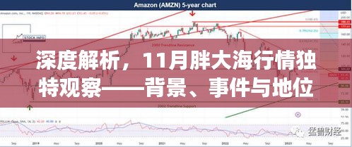 深度解析，11月胖大海行情独特观察——背景、事件与地位的全方位透视