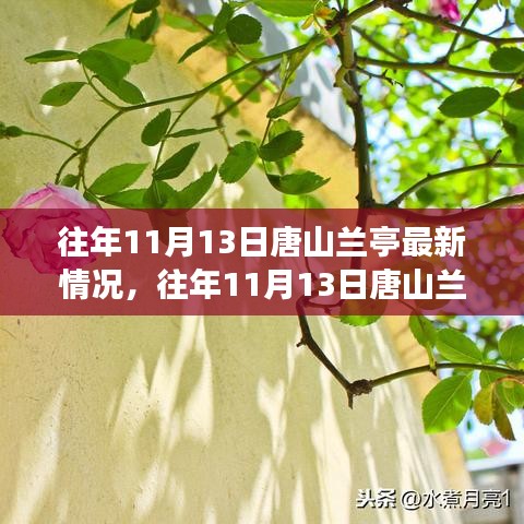 往年11月13日唐山兰亭最新动态，秋日盛景中的变迁与发展一览