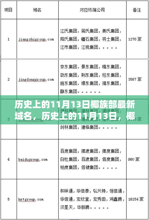 历史上的11月13日，椰族部新域名诞生背后的故事揭秘