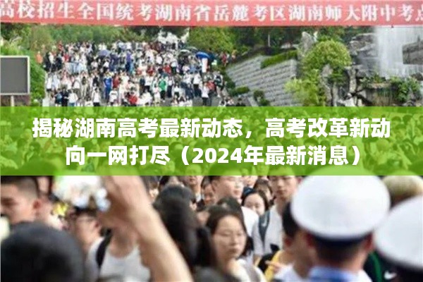 揭秘湖南高考最新动态，高考改革新动向一网打尽（2024年最新消息）