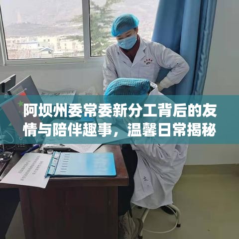 阿坝州委常委新分工背后的友情与陪伴趣事，温馨日常揭秘启幕时刻