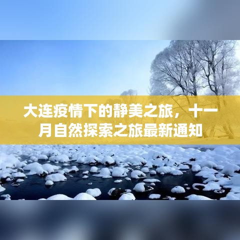 大连疫情下的静美之旅，十一月自然探索之旅最新通知