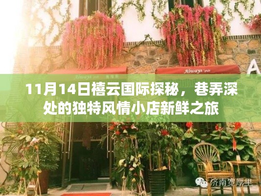 11月14日禧云国际探秘，巷弄深处的独特风情小店新鲜之旅