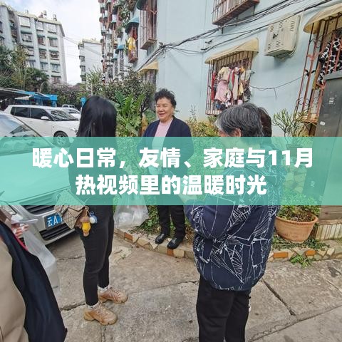 暖心日常，友情、家庭与11月热视频里的温暖时光