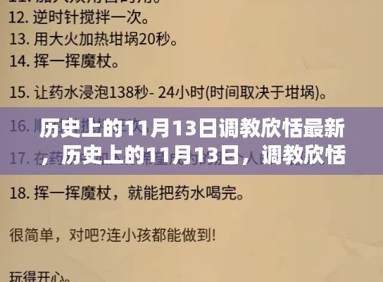 历史上的11月13日调教欣恬最新，历史上的11月13日，调教欣恬最新指南