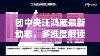 团中央汪鸿雁最新动态，多维度解读与深度剖析的启示（11月14日最新消息）