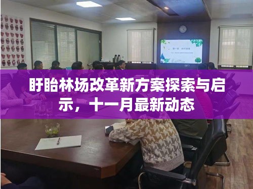 盱眙林场改革新方案探索与启示，十一月最新动态