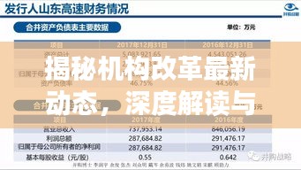 揭秘机构改革最新动态，深度解读与案例分析（截至11月14日）