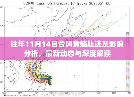 往年11月14日台风黄蜂轨迹及影响分析，最新动态与深度解读