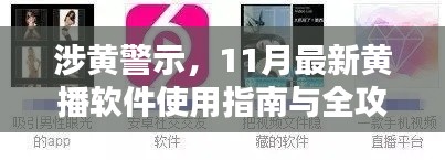 涉黄警示，11月最新黄播软件使用指南与全攻略，谨慎观看