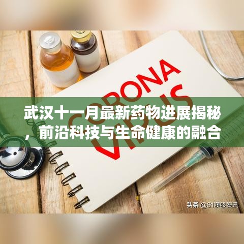 武汉十一月最新药物进展揭秘，前沿科技与生命健康的融合之旅