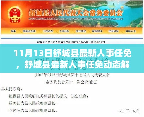 舒城县人事任免动态解析，特性、体验与用户洞察（11月13日更新）