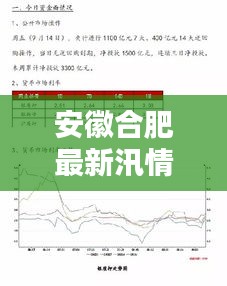 安徽合肥最新汛情分析报告（XXXX年11月14日汛情更新）