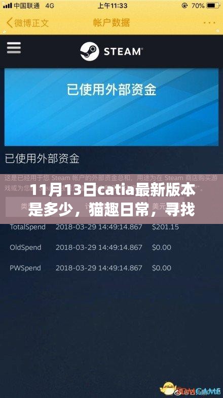 Catia最新版本的探寻之旅，猫趣日常的温馨之旅（11月更新）