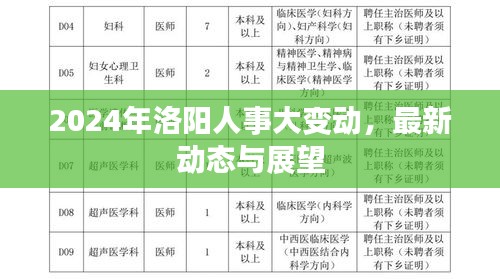 2024年洛阳人事大变动，最新动态与展望