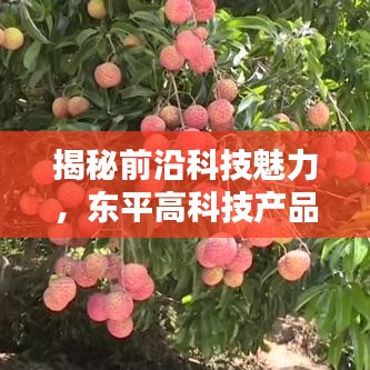 揭秘前沿科技魅力，东平高科技产品引领未来生活新篇章（11月15日最新资讯）