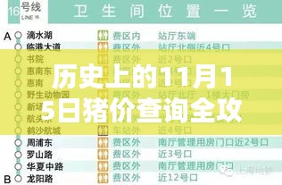 历史上的11月15日猪价查询全攻略，最新指南与初学者进阶指南