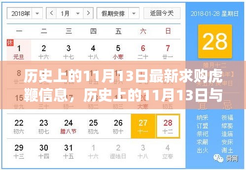 历史上的11月13日虎鞭求购信息解读与最新动态