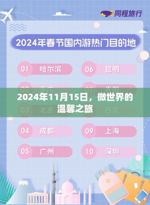 2024年11月15日，微世界的温馨之旅