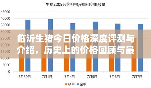 临沂生猪今日价格深度评测与介绍，历史上的价格回顾与最新动态分析