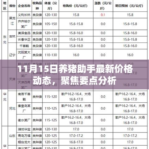 11月15日养猪助手最新价格动态，聚焦要点分析