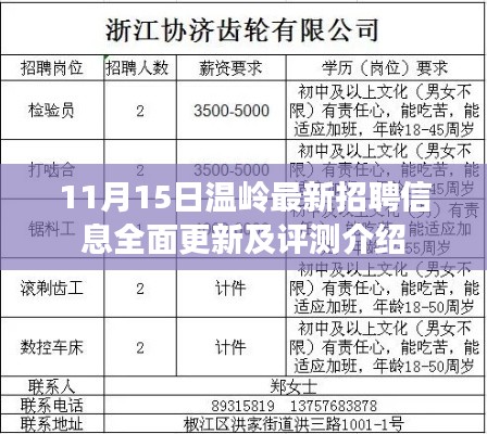 11月15日温岭最新招聘信息全面更新及评测介绍