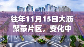 往年11月15日大沥聚豪片区，变化中的力量与学习魅力新篇章