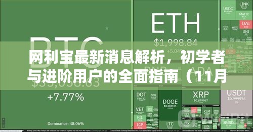 网利宝最新消息解析，初学者与进阶用户的全面指南（11月15日更新）