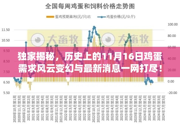 独家揭秘，历史上的11月16日鸡蛋需求风云变幻与最新消息一网打尽！