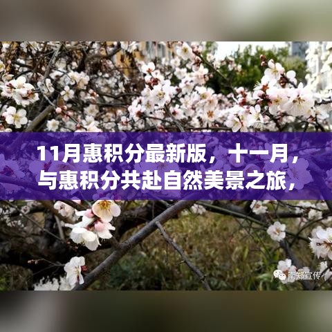 11月惠积分最新版，与自然美景共赴内心平和之旅