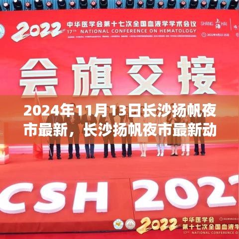 长沙扬帆夜市，繁华夜市的变迁与最新动态（2024年11月13日）