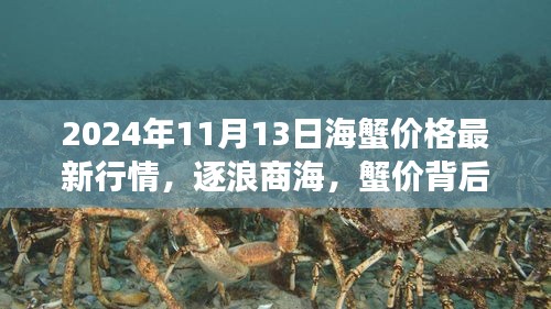 逐浪商海，揭秘蟹价背后的故事，与变化共舞——2024年11月13日海蟹价格最新行情