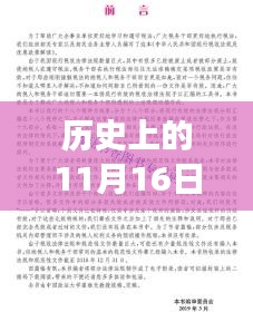 历史上的11月16日山丹马场新政策深度解读与案例分析，最新政策概览与案例分析纪实