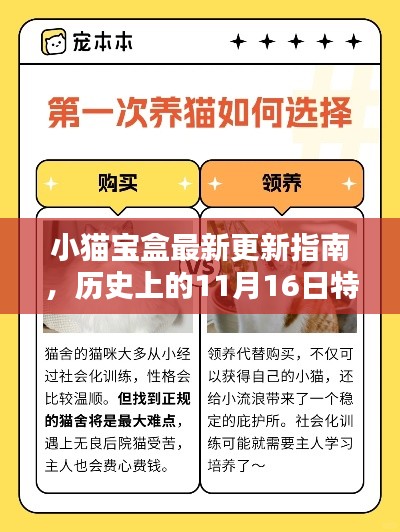 小猫宝盒最新更新指南，历史上的11月16日特别版，适合初学者与进阶用户掌握。