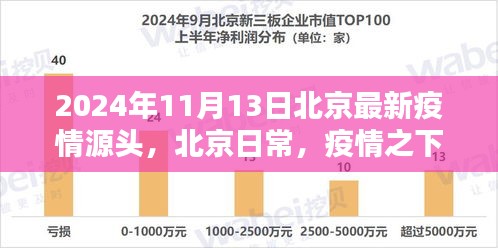 北京疫情最新动态，温情纽带与奇妙冒险在行动（2024年11月13日）