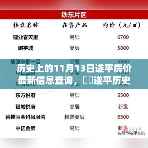 探寻历史上的11月13日遂平房价变迁，最新信息揭秘与背后故事