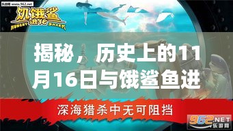 揭秘，历史上的11月16日与饿鲨鱼进化最新破解版的法律迷雾与立场探讨