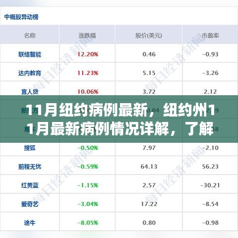 纽约州11月最新病例详解，了解、追踪与应对步骤指南