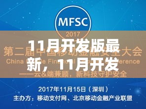 深度探讨某技术，11月开发版最新利弊分析