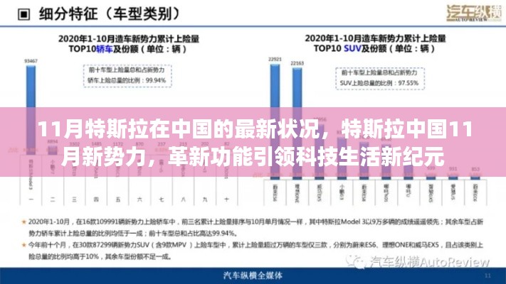 特斯拉中国11月新势力，革新功能引领科技新纪元