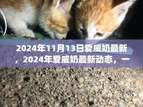 2024年11月13日爱威奶最新，2024年爱威奶最新动态，一场科技与品质的完美融合盛宴