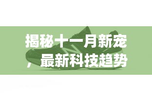 揭秘十一月新宠，最新科技趋势下的AJ系列革新成果探索