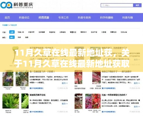 关于久草在线最新地址获取的风险警示与科普讨论